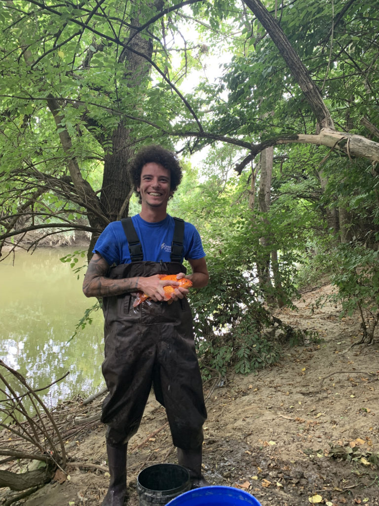 Trent Smitley holding a large invasive goldfish captured in Mill Creek, Cincinnati, OH